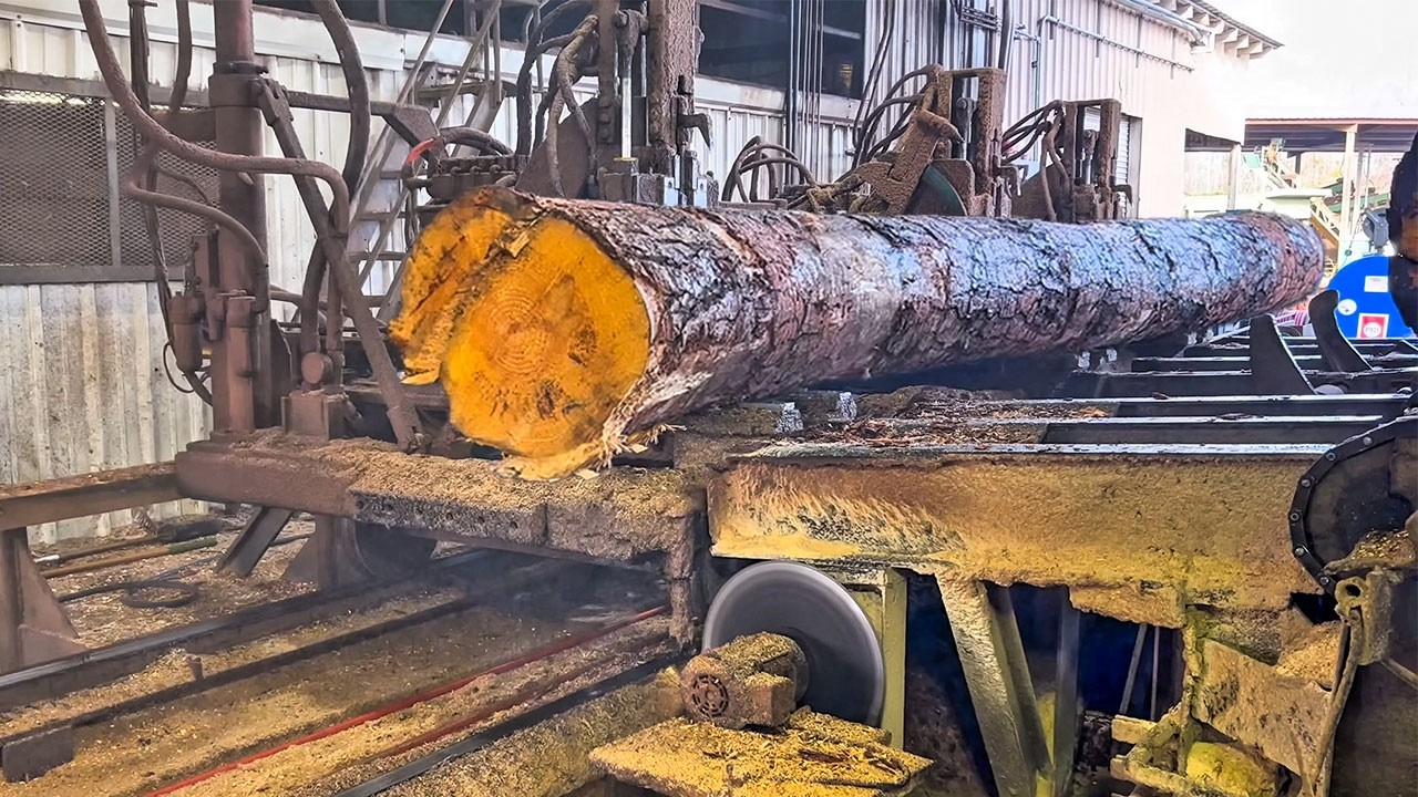 Cutting a 20-Foot Southern Yellow Pine into an 8×8 Beam | 66” Solid Tooth Saw