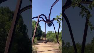 Pentax K1000 - 35Mm Film Photography - 35Mm Slr Vintage Camera - Cute Camera Co.