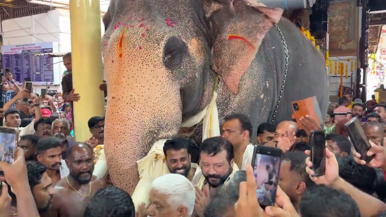 Pallattu Brahmadathan❤️ ✨ഏറ്റുമാനൂരിൽ ആദരവ് ✨