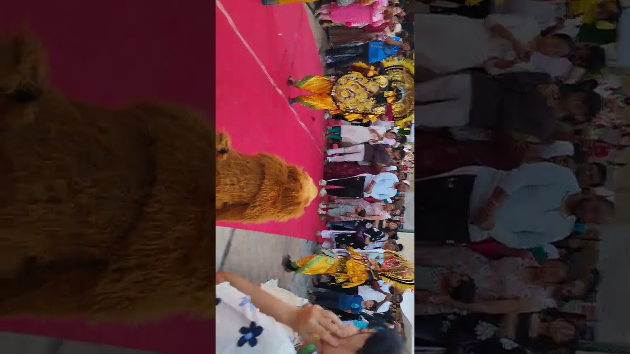 Nift National Institute of Fashion technology 