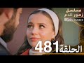 الحلقة 481 مسلسل زهور الدم مدبلج بالعربية Kan Çiçekleri 