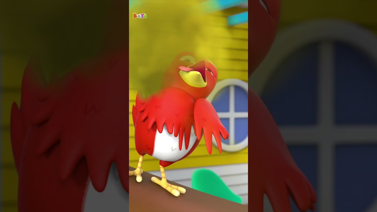 Booya Hálito Fedorento Vídeo Divertido 