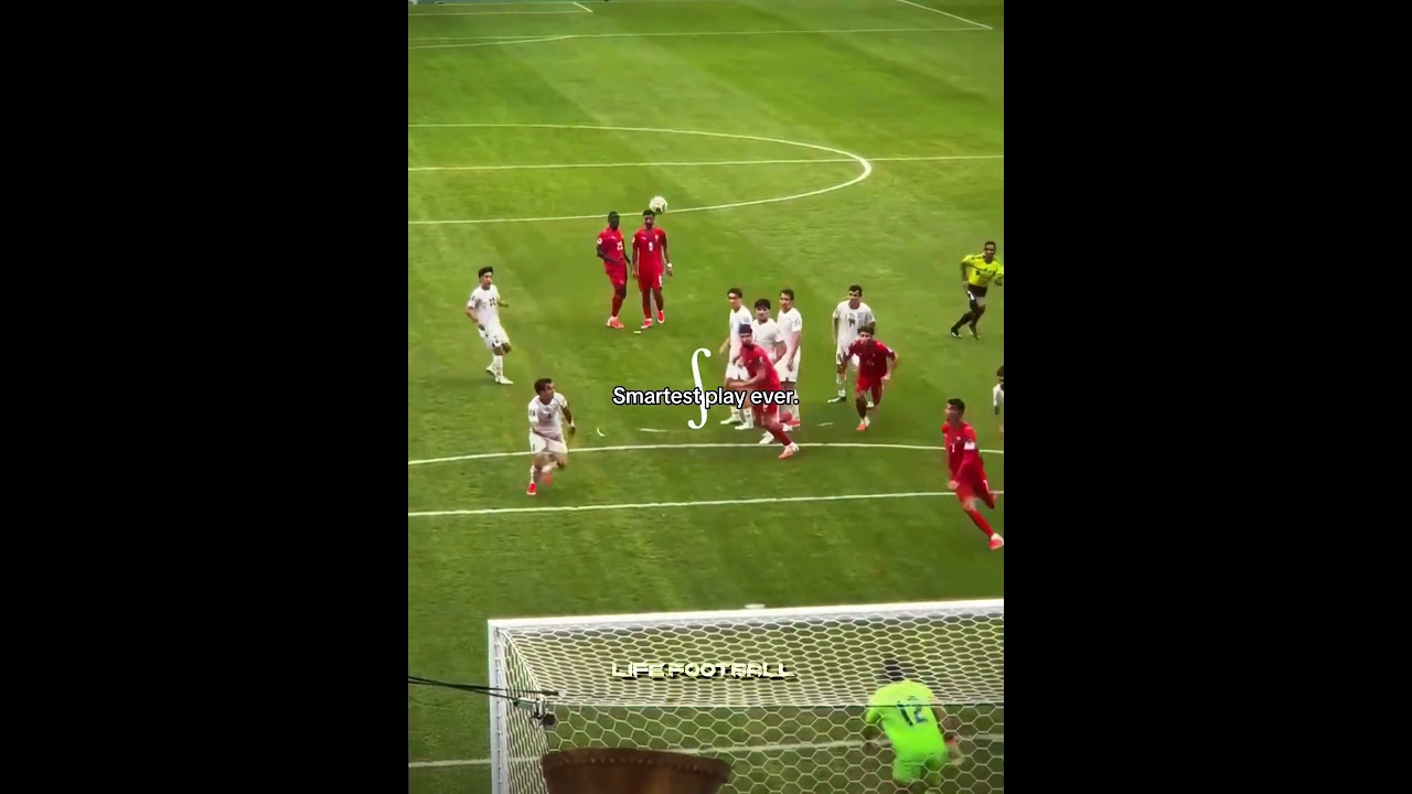 Portugal’s IQ Needs To Be Studied😱🤯