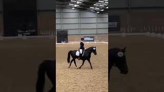 Ad ref 246098   Video 2