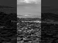 Sometimes peace isn’t so peaceful 🖤 #peaceful #aesthetic