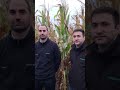 CÓRDOBA 🇦🇷 Participamos de la jornada "Punto NK" en Sinsacate, organizada por distribuidor GRAIN