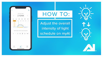myAI Lighting: Adjusting the overall intensity of your lighting schedule in the myAI app