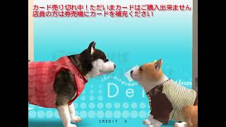 [Konami Python] [PCSX2 Reliquary Fork] Dog Station Deluxe (2002) - Boot & Short Gameplay (RTX GPU)