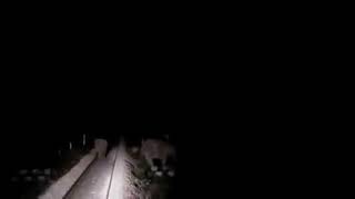 The alertness & prompt action of loco pilot & crew helped to save lives of three elephants