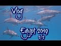 Vlog - Egypt 2019 - 2/2