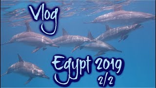 Vlog - Egypt 2019 - 2/2