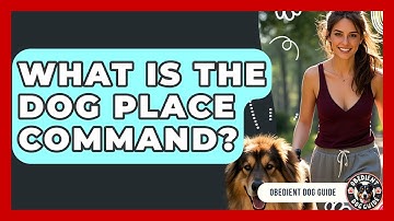 What Is The Dog Place Command? - Obedient Dog Guide