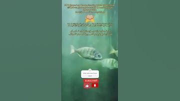 س: کن کا اعتراض؟A: Surat No 16 : سورة النحل - Ayat No 35
