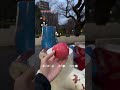 リンゴを置けば…【日本ハイラル】 #ゼルダの伝説 #totk #ティアキン #ゼルダの伝説ティアーズオブザキングダム #ハイラル #zelda #nintendoswitch #実写 #shorts