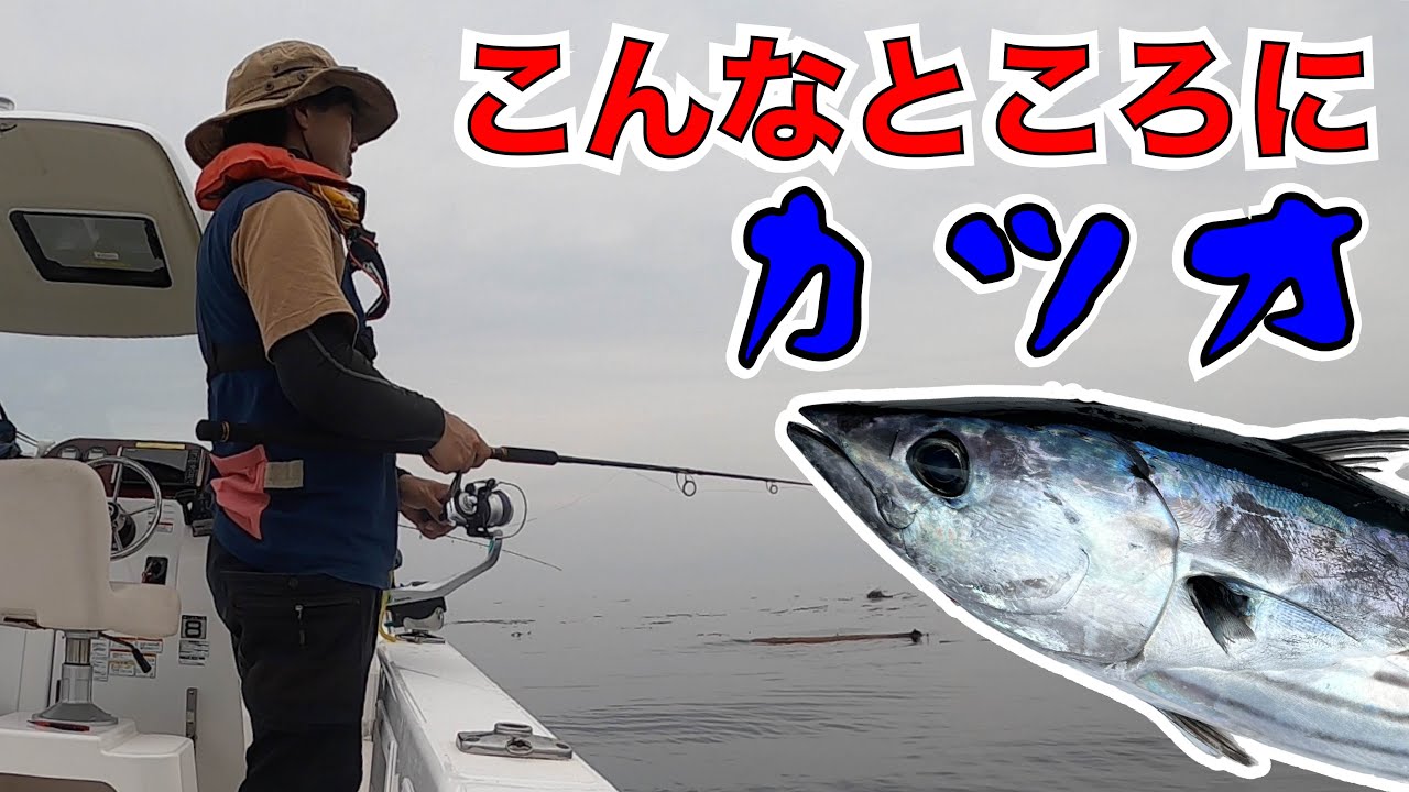 Skipjack Tuna! So that's where they were! Blue-runner jigging off