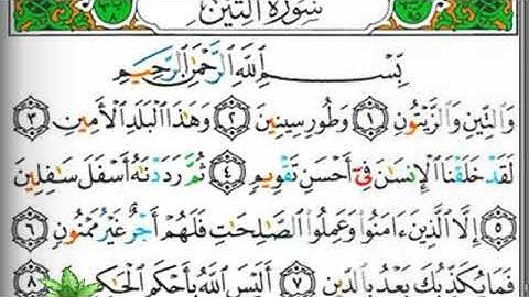 مصحف التجويد سورة التين محمد جبريل