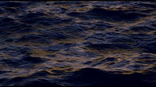 Lisa Piccirillo - Last Star Official Lyric Video