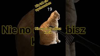 nie no