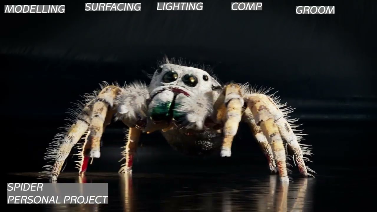 3rd Year TD Show Reel Late 2025