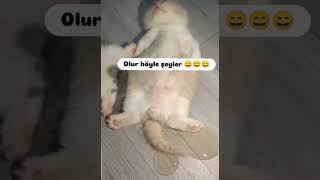 Çarşamba,Yı Sel Aldı