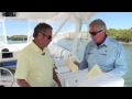 Sport fishing magazine 350lx walk around