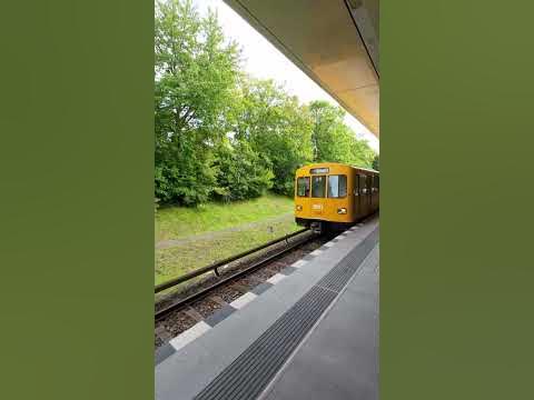 Berlin Kienberg (Gärten der Welt) UBahn U5 [2023] YouTube