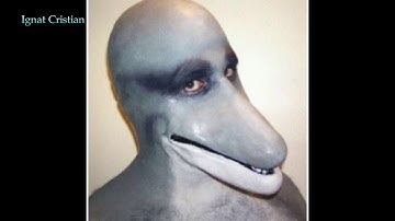 The only thing they fear is cursed images