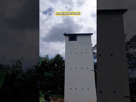 Finish 1 rumah Burung walet 4x12x3 lokasi Nias Barat Sumut #burungwalet #burung #suarawaletoriginal