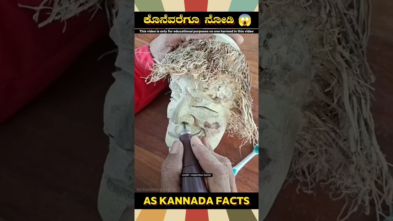 Amazing Bamboo Art Fact Video | 