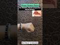 Press Yemen Point Yoga Mudra 5 Minutes Yoga #youtubeshorts #ytshorts #shortvideo #shorts #yoga