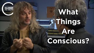 David Chalmers  What Things are Conscious?