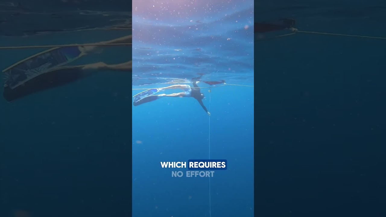 FIM entry - freediving tutorial