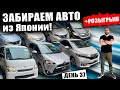 Поступление авто из Японии - Свежий привоз + Розыгрыш )