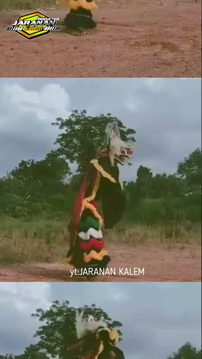 📌STORY WA BARONGAN SALTO VERSI LAGU||ORAH BAKAL ILANG