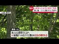 【クマに襲われたか】顔に獣にひっかかれたような傷  山菜採りの女性の遺体発見