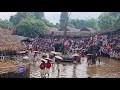 #kerela #customs #tradition #festival #elephant