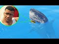 THERE'S A GIANT SHARK in GTA 5!