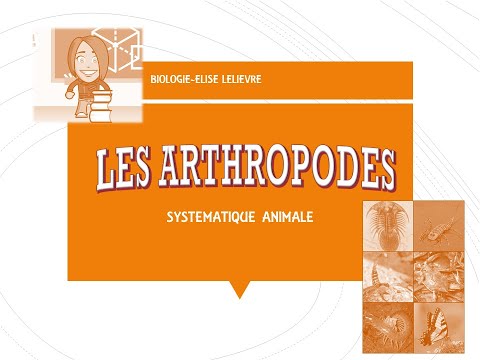 Vidéo: Où trouve-t-on les arthropodes du phylum ?