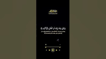 سورة الرحمان و يبقى وجه ربك ذو الجلال و الاكرام #قران #قرآن #تلاوة #كرومات #الله #quran #allah