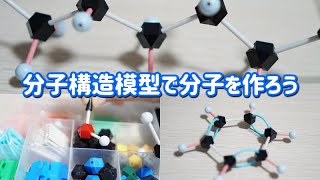 分子構造模型で分子を作ろう（Model of molecular structure）