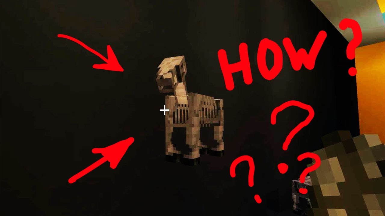 Bug the Horse Skeleton Stuck in the Wall Glitches Minecraft 1.17 Java