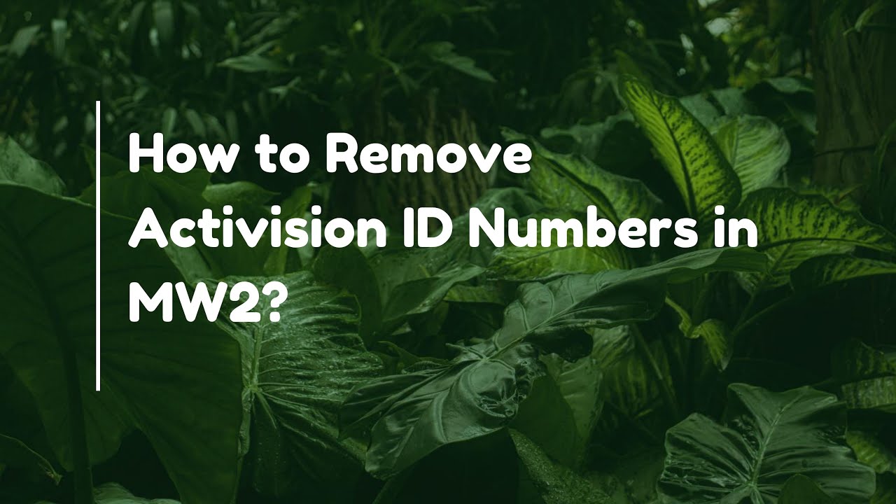 How to Remove Activision ID Numbers in MW2? - YouTube