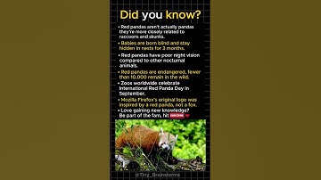 Red pandas aren’t actually pandas?