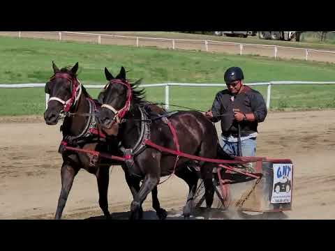 Chariot Races Chariot Canada 