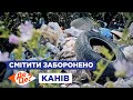 ДеЦе? | Смітити заборонено | Канів