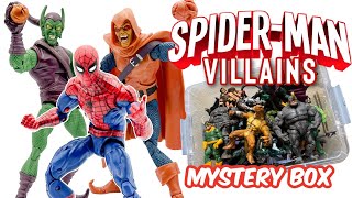 Spider-Man Mystery Box!!!  Spidey Villains!!!