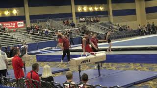 Level 10 Technical Sequence Pommel Feb 2020