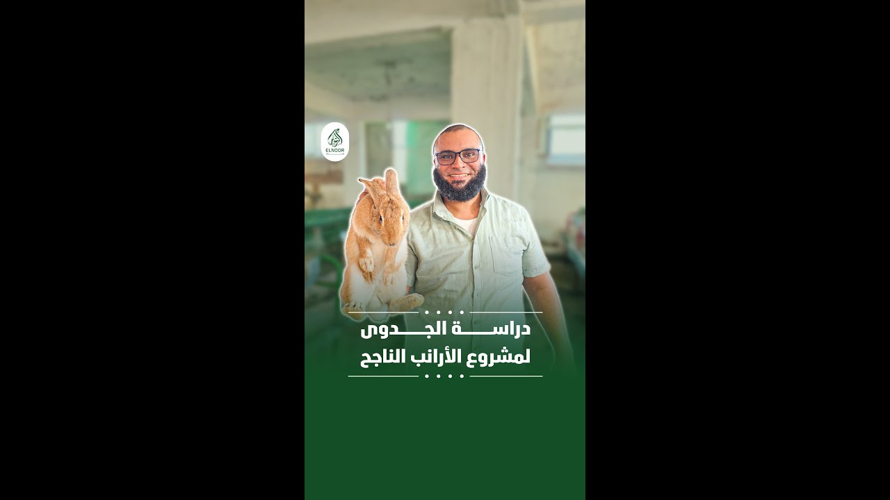 دراسة الجـدوى لمشروع الأرانب الناجح 🐇
