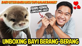 UNBOXING BAYI BERANG-BERANG BARU! BARU KENAL LANGSUNG DIGIGIT BRUTAL! LUCU TAPI GALAK BANGET!