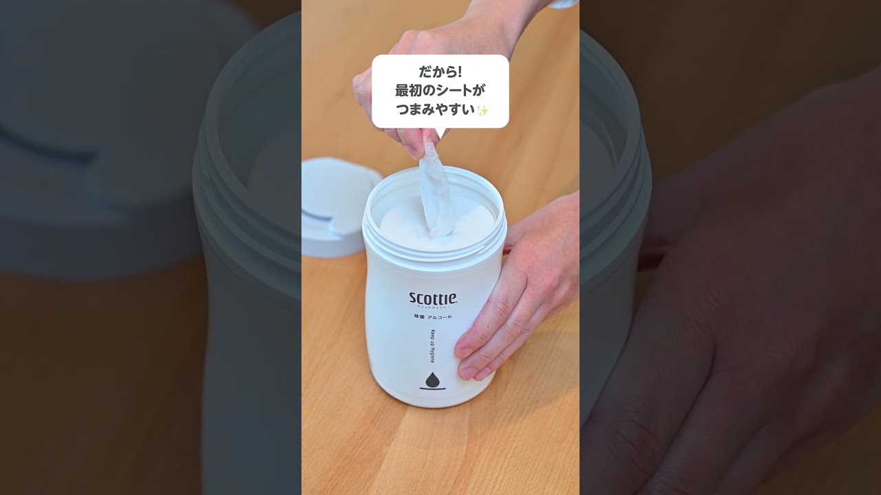 公式】ウェットティッシュ 除菌 アルコール つめかえ用 100枚×12パック